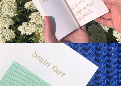 brain farts